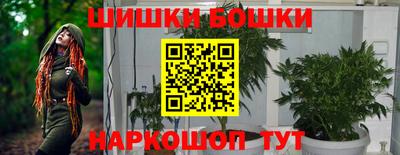 шишки Заводоуковск