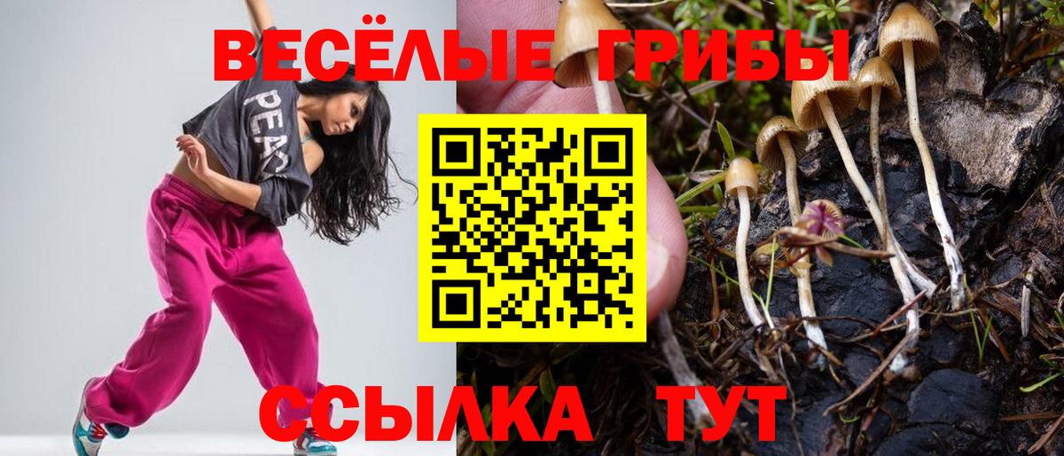 Галлюциногенные грибы ЛСД Мценск